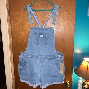 Levi Strauss & Co. Denim Overalls